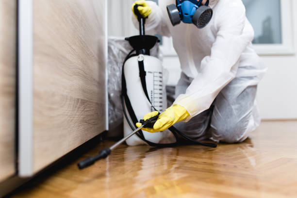 Best Best Pest Control Companies  in Lawnside, NJ