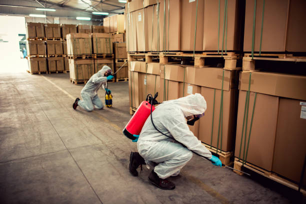 Best Pest Inspection Near Me  in Lawnside, NJ