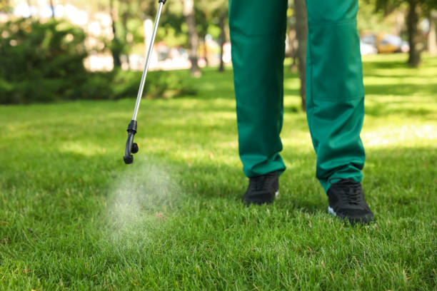 Best Termite Control Services  in Lawnside, NJ