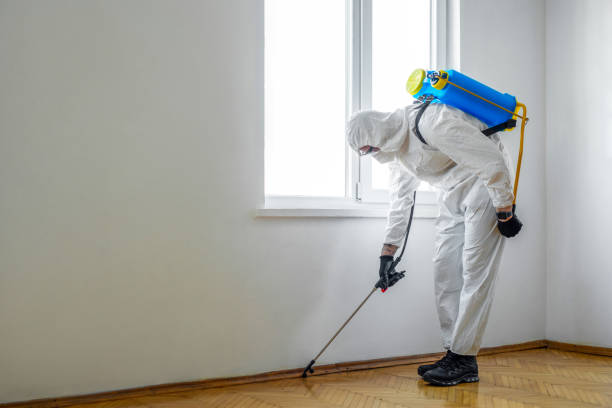 Best Mosquito Control Services  in Lawnside, NJ