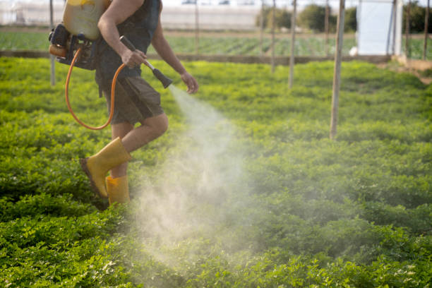 Best Pest Prevention Services  in Lawnside, NJ