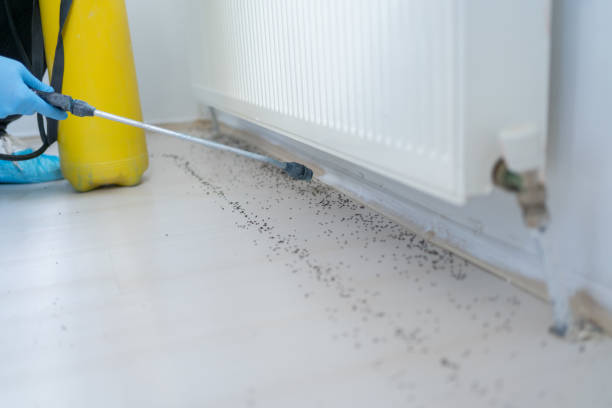 Best Commercial Pest Control Services  in Lawnside, NJ