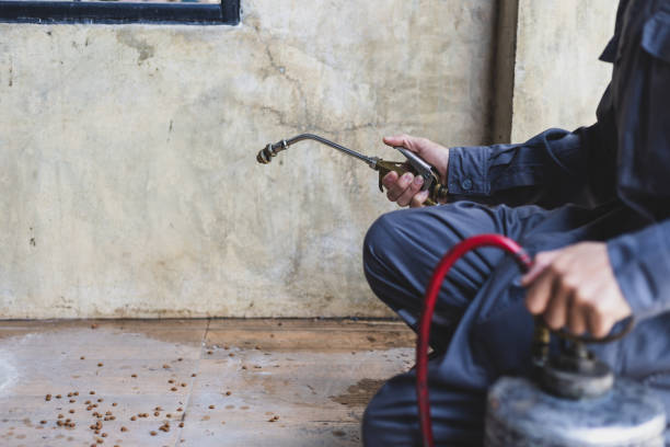 Best Rat Extermination Near Me  in Lawnside, NJ